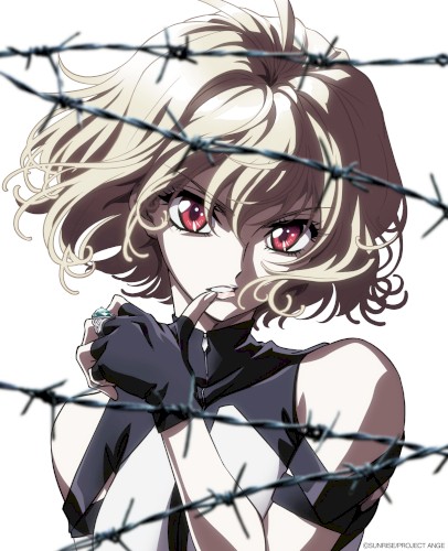 クロスアンジュ 天使と竜の輪舞 Blu-ray BOX 特典CD