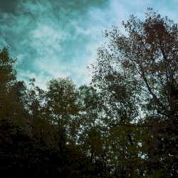 Perceptible