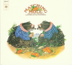 Matching Mole