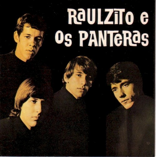 Raulzito e Os Panteras