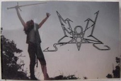 Upon the Viking Stallion
