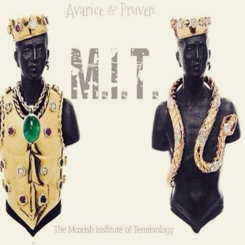 M.I.T. (Moorish Institute Of Terminology)