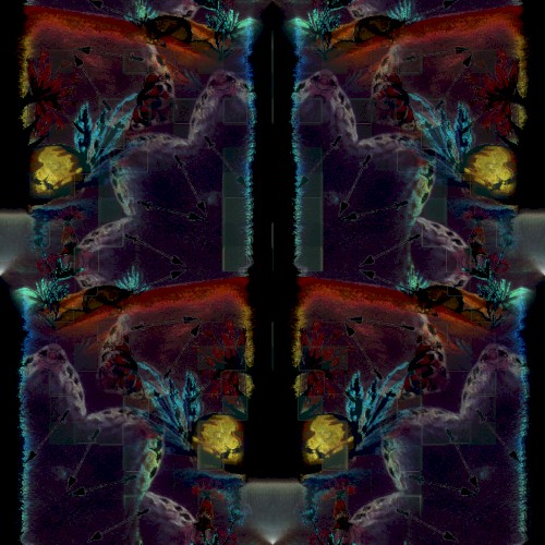 Ａｅｓｔｈｅｔｉｃ Ｔａｐｅｓ Ｖｏｌｕｍｅ 1