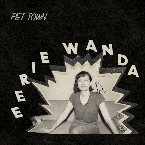 Pet Town