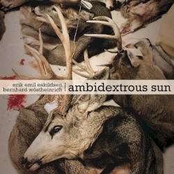 Ambidextrous Sun
