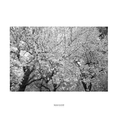 R0012259