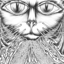 Ephemera (short) / Coconut II