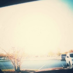 Feel Everything Here