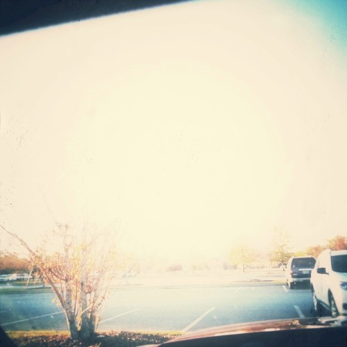 Feel Everything Here