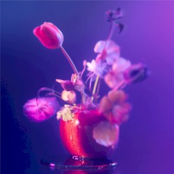 ラストシーン