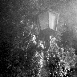 Luminous Emissions on the Graveless Entities