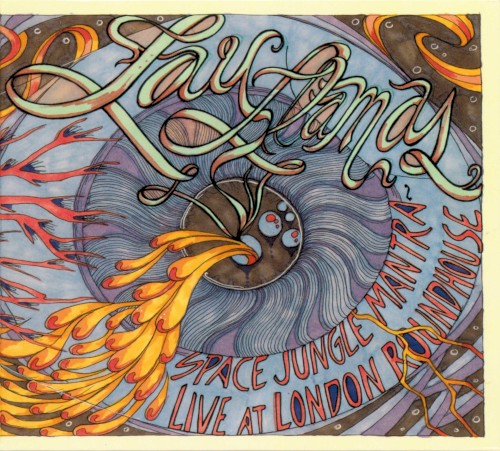 Space Jungle Mantra: Live at London Roundhouse