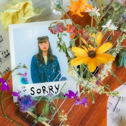 The Sorry Song