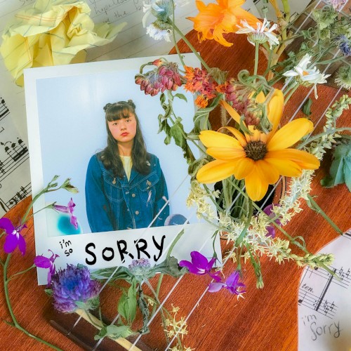 The Sorry Song