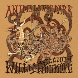 Animals in the Dark