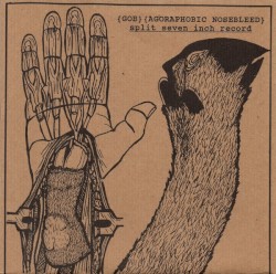 Split Seven Inch Record