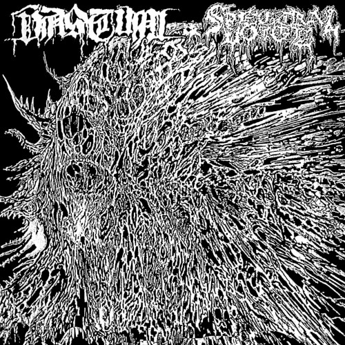 Vastum / Spectral Voice