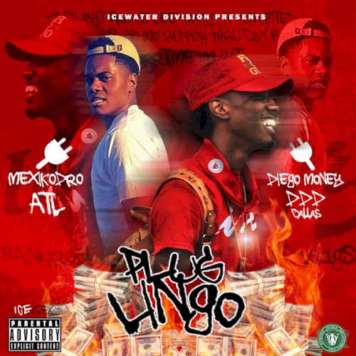 Plug Lingo