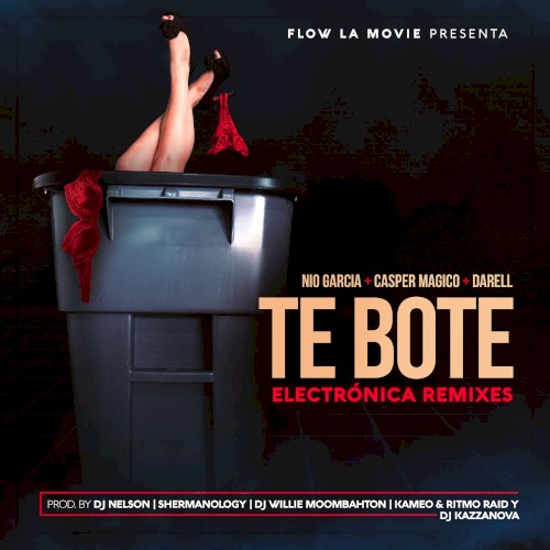 Te boté (electrónica remixes)