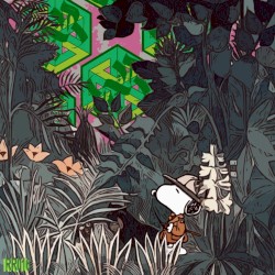 Rhythmic Remedies 016