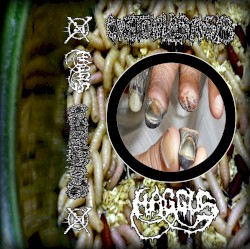 Haggus / Cystoblastosis
