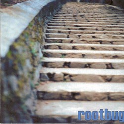 Rootbug