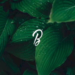 Green Motions