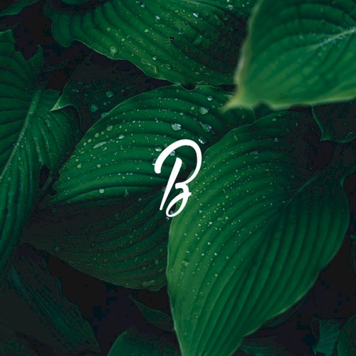 Green Motions