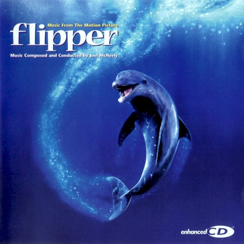 Flipper