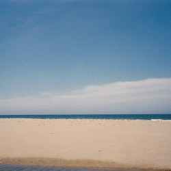 Summer Haze