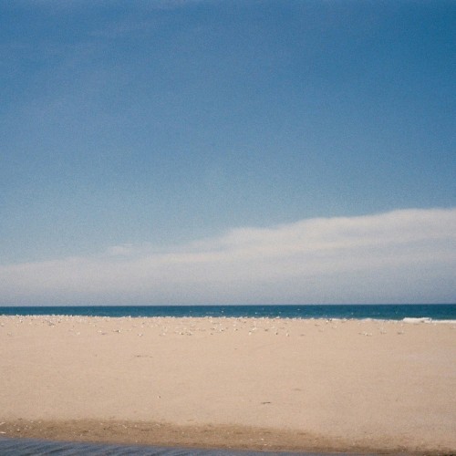 Summer Haze