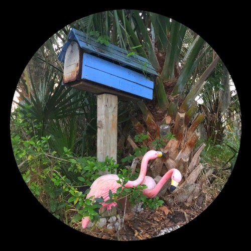 Mood Provider Vol. 4