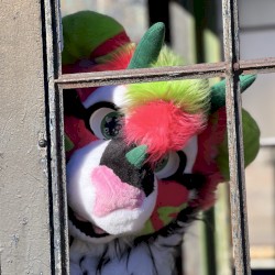 rawr (i luv u)