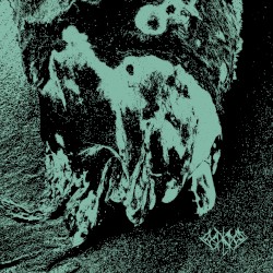 Coral Cross 002
