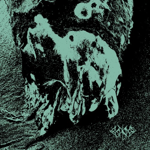 Coral Cross 002