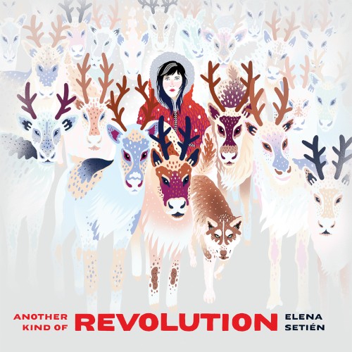 Another Kind of Revolution
