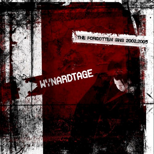 The Forgotten Sins 2002-2005
