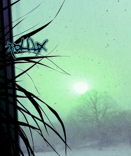 Never Hope the Zenith (2007-2011)