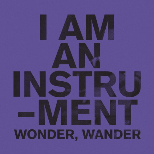 Wonder, Wander