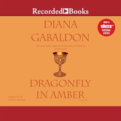 Dragonfly in Amber