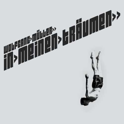 In meinen Träumen
