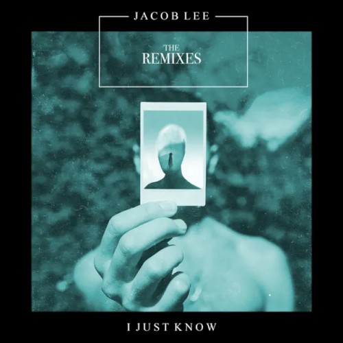 I Just Know (The Remixes