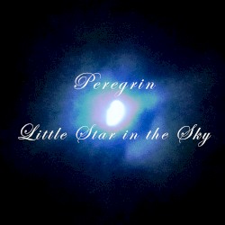 Little Star in the Sky