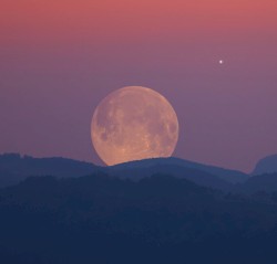 Lunar Movements