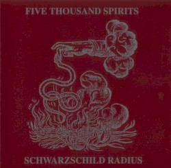 Schwarzschild Radius