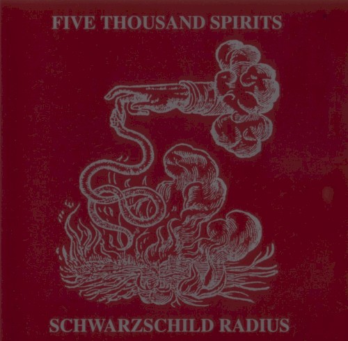 Schwarzschild Radius