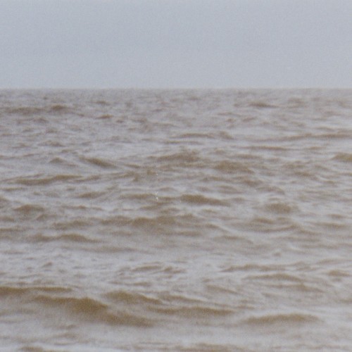 Wild Sea