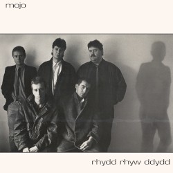 Rhydd Rhyw Ddydd