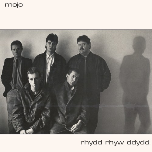 Rhydd Rhyw Ddydd