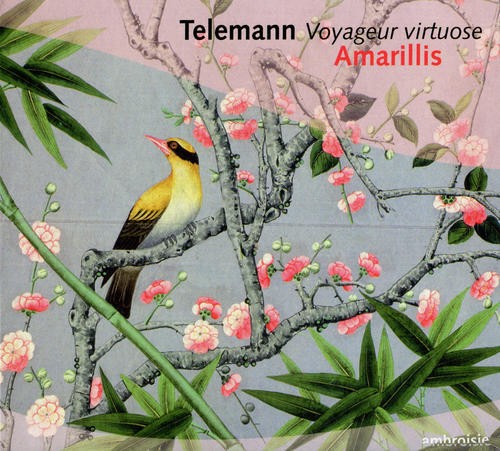 Virtuoso Traveller: Duet and Trio Sonatas